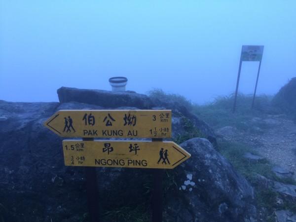不是说男女平等吗,怎么都是男人请客。蜗牛问答-专业解答你的问题